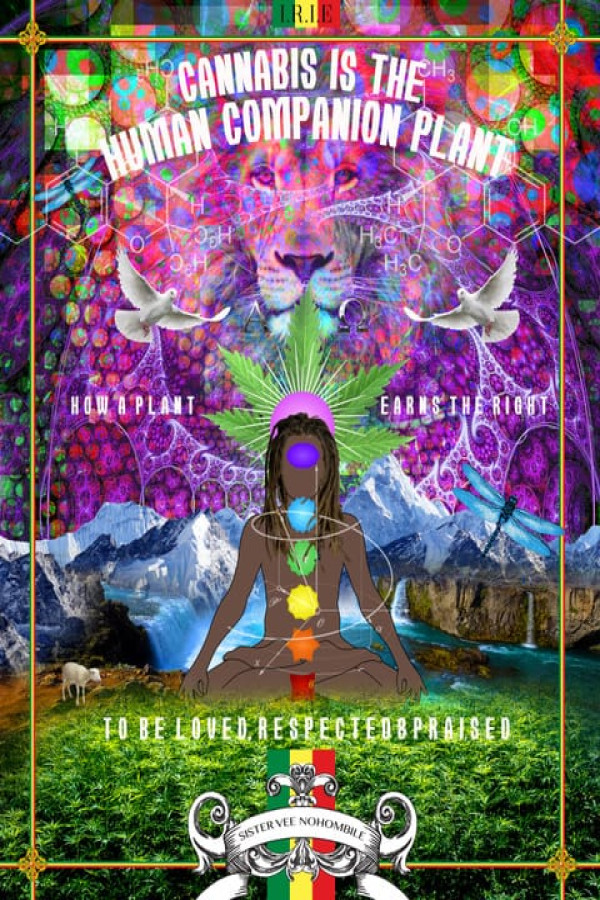 Cannabis is The Human Companion Plant